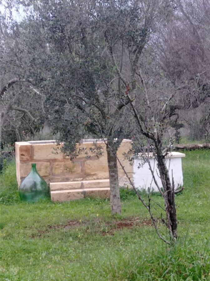 La Petraia Βίλα Magliano Εξωτερικό φωτογραφία