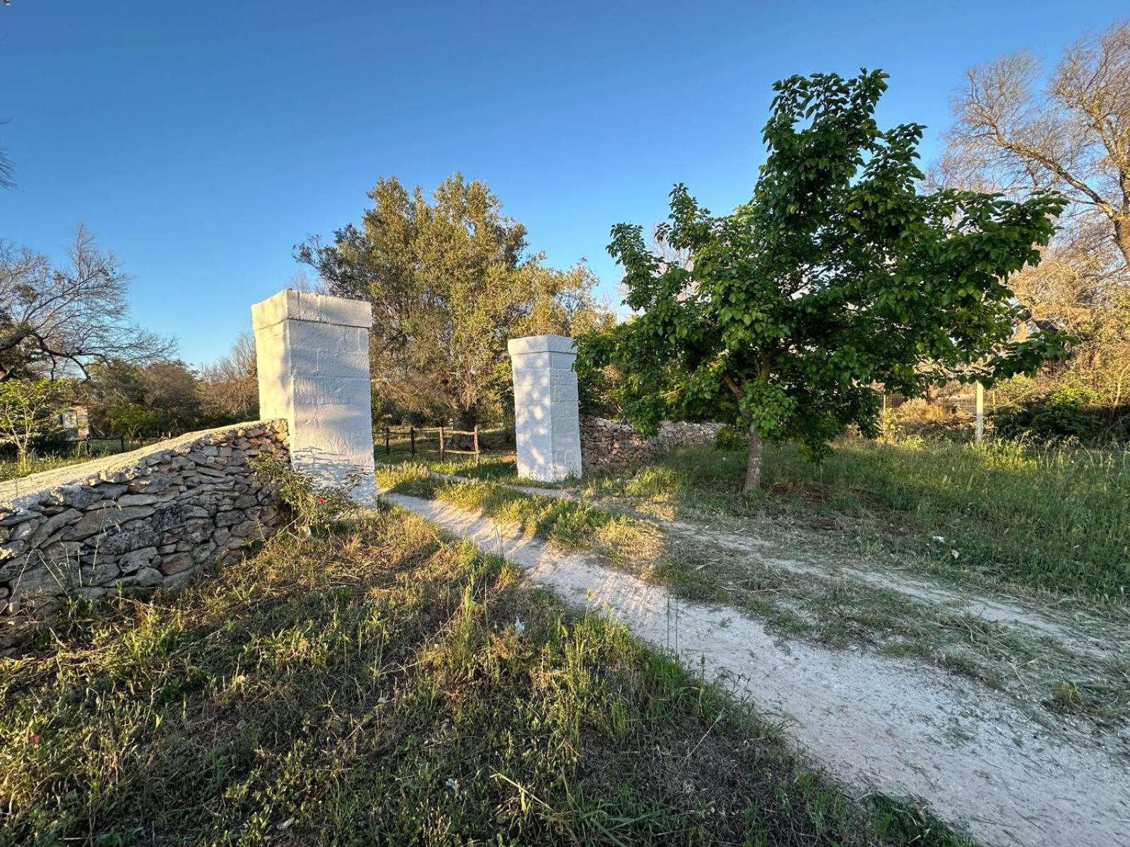 La Petraia Βίλα Magliano Εξωτερικό φωτογραφία