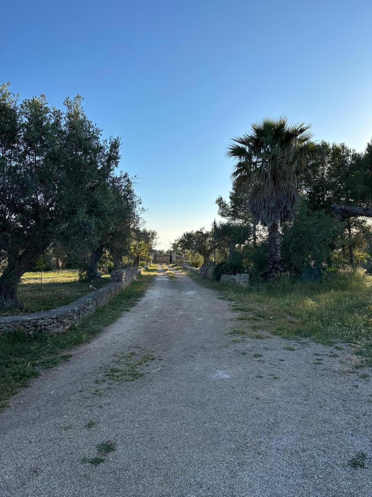 La Petraia Βίλα Magliano Εξωτερικό φωτογραφία